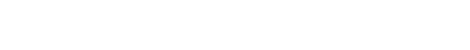 Sonic-Fusion™ logo