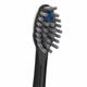 Close Up SFFB-2EB Full-Size Sonic-Fusion™ Brush Heads - Black