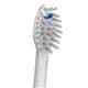 Close Up SFFB-2EW Sonic-Fusion™ Full-Size Brush Heads - White