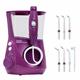 Water Flosser & Tip Accessories - WP-665 Orchid Aquarius Water Flosser