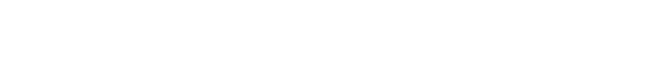 Sonic-Fusion™ 2.0 logo