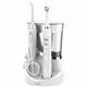Waterpik Complete Care 5.5 - White & Chrome Water Flosser Toothbrush